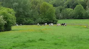 Cabane d'Augustin - Image 4