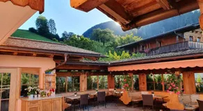 Hotel & Alpengasthof Pinzgerhof - Image 3