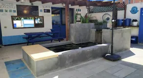 B&B Luna Blu - Image 4