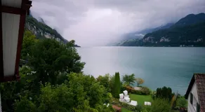 Flyhof - Image 4