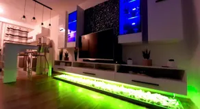 Paloma Blanca 2 - Image 3
