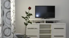 Apartment Jovana Nikšić - Image 5