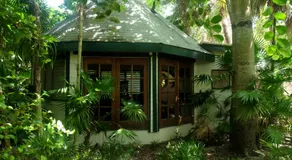 Jungle Cocoon - Image 2