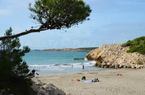 Sous le soleil des Alpilles - Image 5