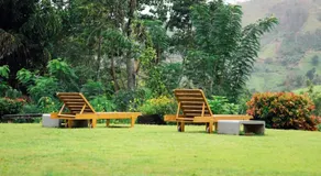 The 6th Milepost Tea Bungalow Bandarawela - Image 5