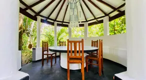 drongo place - Image 3