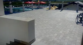 edera - Image 3