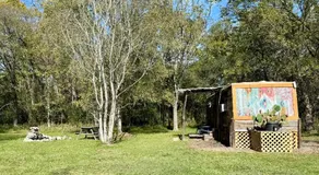 Cabin 1 Remote cabin next to Sam Houston National Forest - Image 4