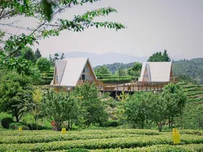 Yongtai Caomugu Homestay - Image 4