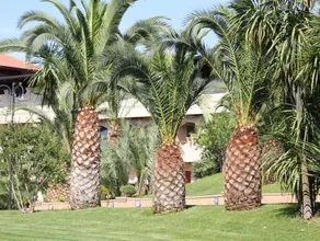 Il Portico Luxury B&B - Image 3
