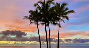 Tropical Zen Bungalow - Image 3
