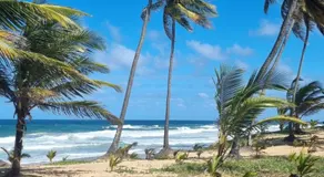 Cabana Bem-Te-Vi - Image 4