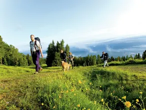 Magnifica casa con terrazza, piscina e sauna | Vista sulla montagna | Vicino alle piste da sci | Ammette animali domestici - Image 3