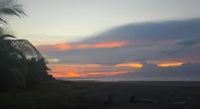 WAVESCRhouse1 - Image 3