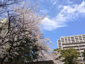 eos HOTEL Akabane - Image 4