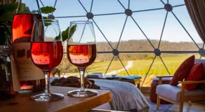 Domescapes in the Vines - Image 2