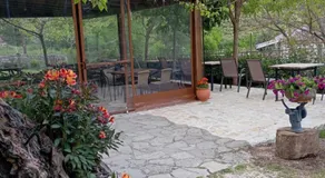 XENONAS SOULIOU - Image 3