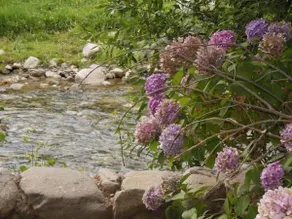 Au Bord de l'Eau - Image 5