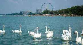 Apartments in Zamardi - Balaton 54662 - Image 4