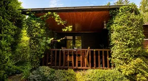Me-Time Chalet "De Jungle" - Image 4