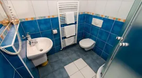 Hotel Merica Bor - Image 3