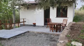 La finestra sul vigneto - Image 5