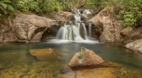 Rapaura Watergardens - Image 5