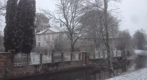 La Maison Carré - Image 5