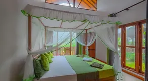 Sinharaja Rainforest Vibe - Image 2