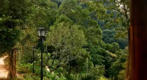 Wan Ruey Resort - Image 5