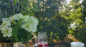 Apartament Ola - Image 4