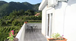 Vržina Farm House Skadar Lake - Image 2