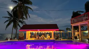 Tropical Paradise Express - Image 2