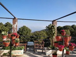 Langtang View Nagarkot Bed and Breakfast - Image 5