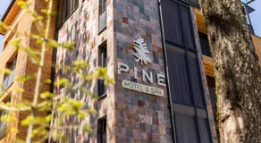 Pine Villas Brezovice - Image 4