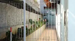 Viva a vida com amor e amigos - Image 4