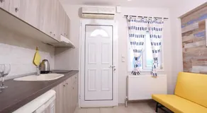 Para Thin Alos - Image 4