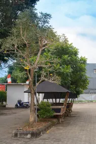 Wisma Amandari - Image 5