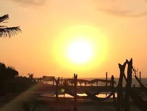 Waltako Beach Culture - Image 5