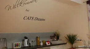 CATS Dreams - Image 3