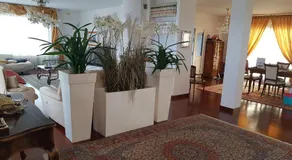 B&B Villa Moen - Image 3