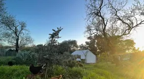 Tiny house natura - Image 3