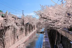 Calm Riverside Inn Close to Ikebukuro - Image 1