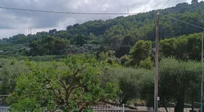 Casa dell'arancio - Image 4