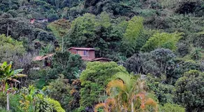 Ecohotel Los Cedros - Image 3