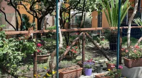 Il Gelso - Image 5