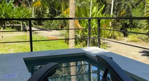 Plaza Tucanito - jungle up your life - Image 3