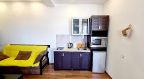 Apartment In Batumi MGZAVREBI - Image 5