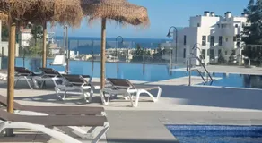 Palm Forest Oasis - Image 4