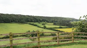 The Spinney - Image 3